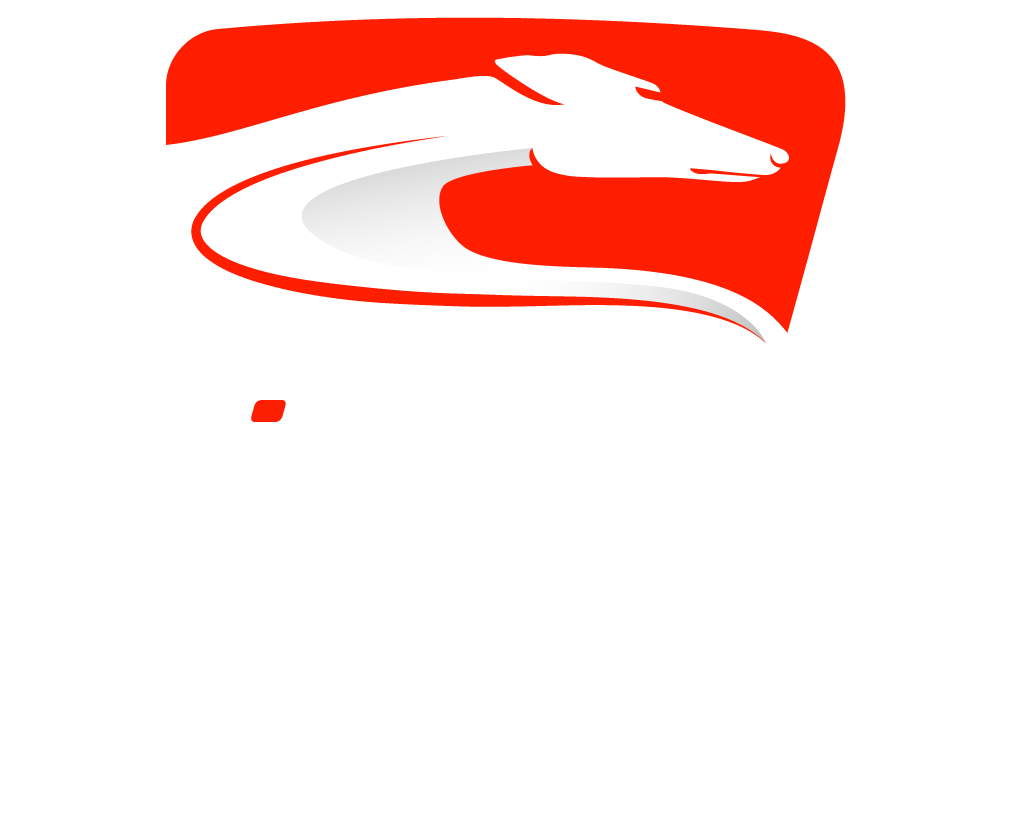 guenther-matzinger-windhund-logo